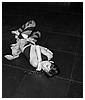 0093.jpg