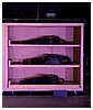 0403.jpg