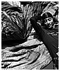 Filename=0055.jpg
Filesize=644KiB
Dimensions=1920x1280
Date added=May 24, 2025 0055.jpg