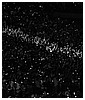 Filename=0738.jpg
Filesize=448KiB
Dimensions=1920x1280
Date added=Jun 24, 2025 0738.jpg