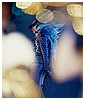 Filename=hq23.jpg
Filesize=3600KiB
Dimensions=3668x5500
Date added=Jun 13, 2025 hq23.jpg