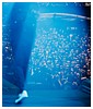 Filename=0394.jpg
Filesize=183KiB
Dimensions=1280x853
Date added=Aug 03, 2025 0394.jpg