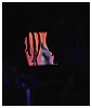0627.jpg