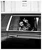 Filename=1308.jpg
Filesize=146KiB
Dimensions=1280x853
Date added=Aug 03, 2025 1308.jpg