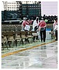 0653.jpg