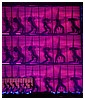 0770.jpg