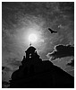 Filename=0783.jpg
Filesize=187KiB
Dimensions=1200x1600
Date added=Aug 03, 2025 0783.jpg