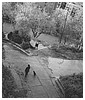 Filename=355.jpg
Filesize=442KiB
Dimensions=1280x853
Date added=Aug 03, 2025 355.jpg
