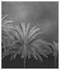 Filename=360.jpg
Filesize=189KiB
Dimensions=1280x853
Date added=Aug 03, 2025 360.jpg